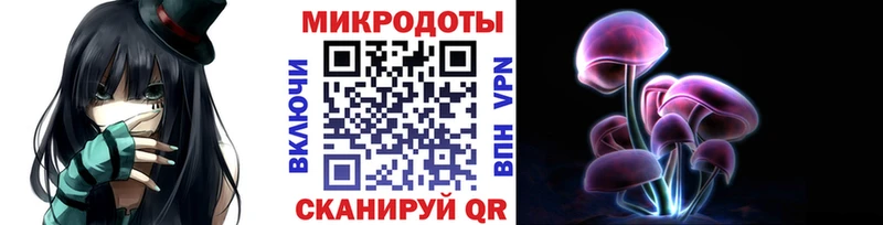Псилоцибиновые грибы ЛСД гидра онион Богданович